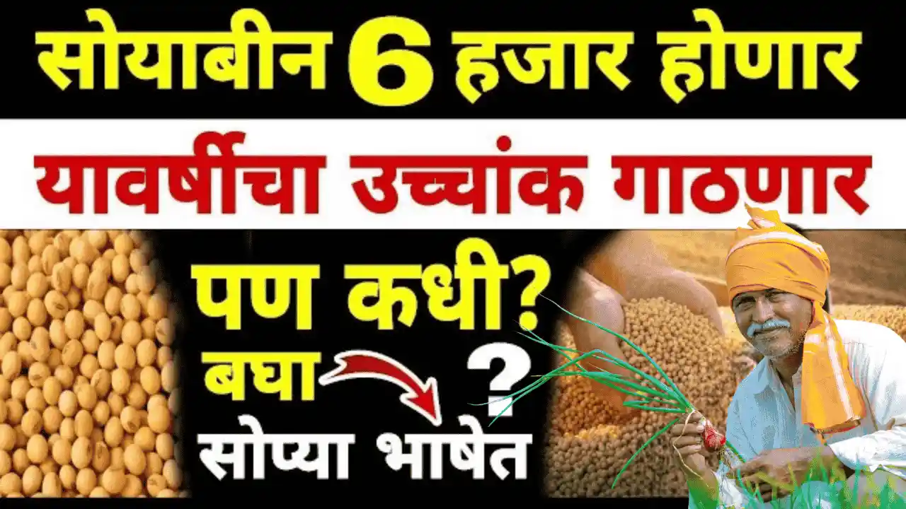 soyabean rate update