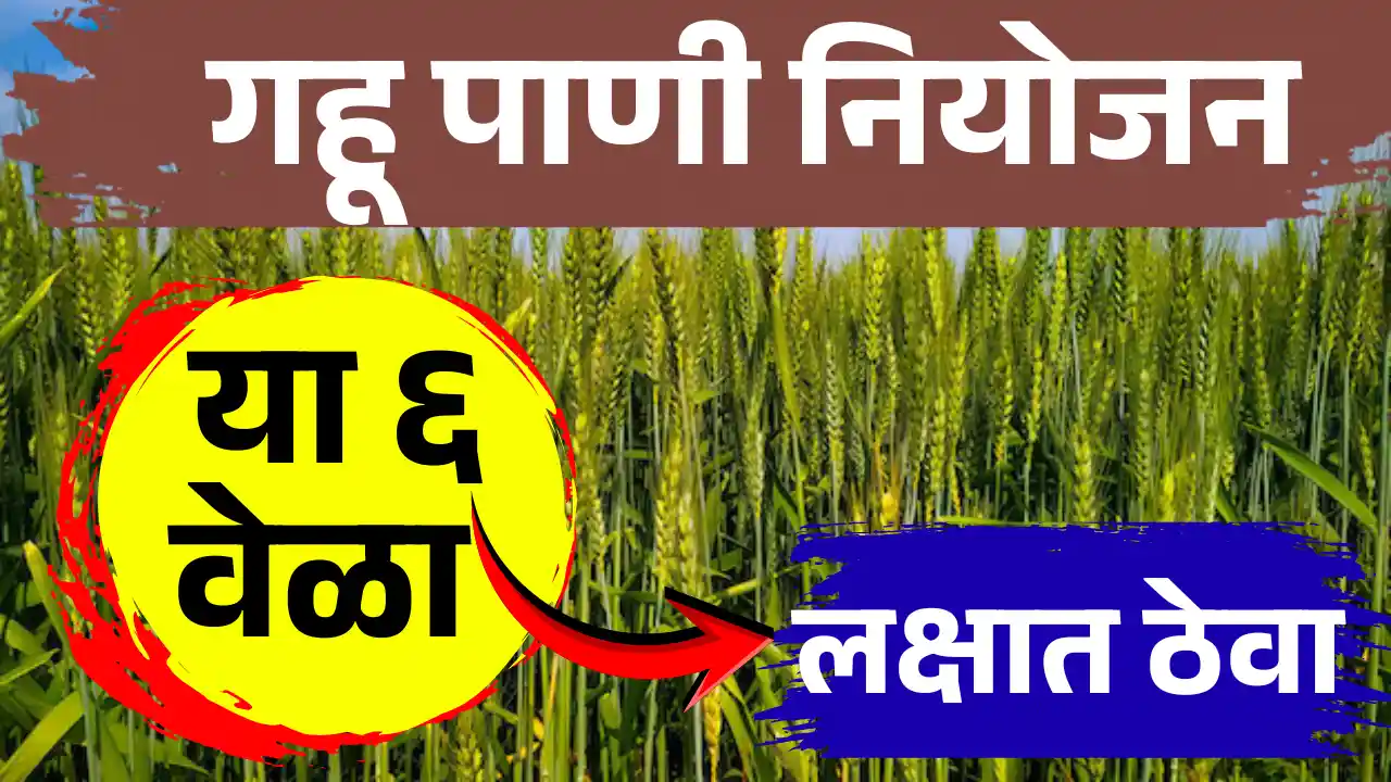 Six Critical Water Stages