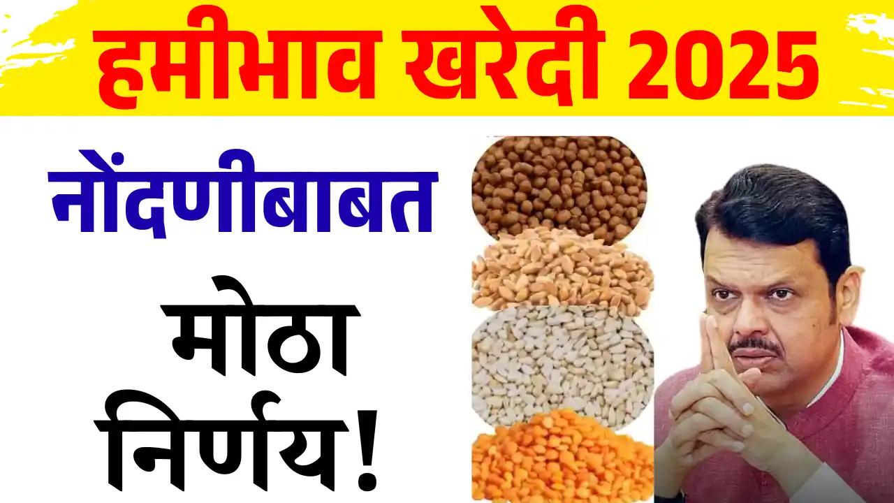 MSP procurement 2025